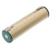Batterier till dammsugare AEG CS-AGR100VX