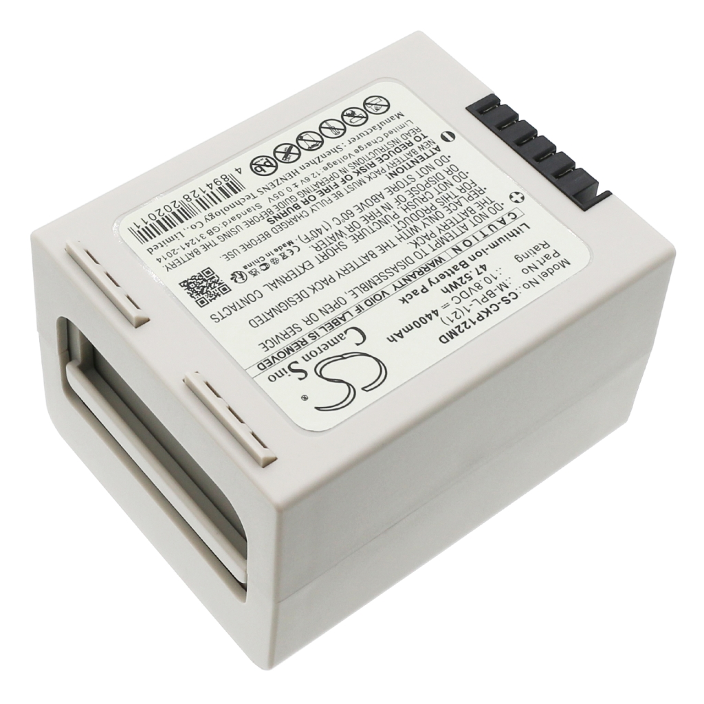 Battery Replaces 10005948