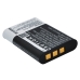 Camera Battery Sony HDR-PJ410