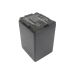 Camera Battery Panasonic HDC-TM300